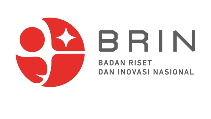 BRIN
